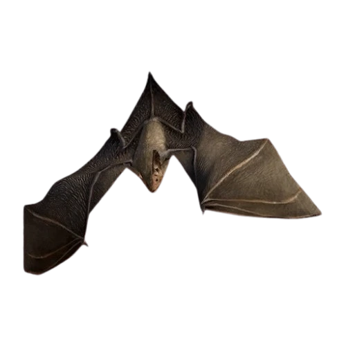 Bechstein's Bat